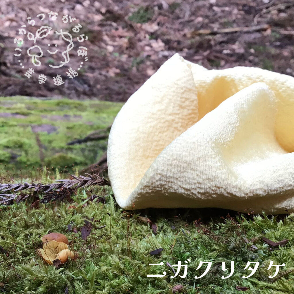 ニガクリタケ