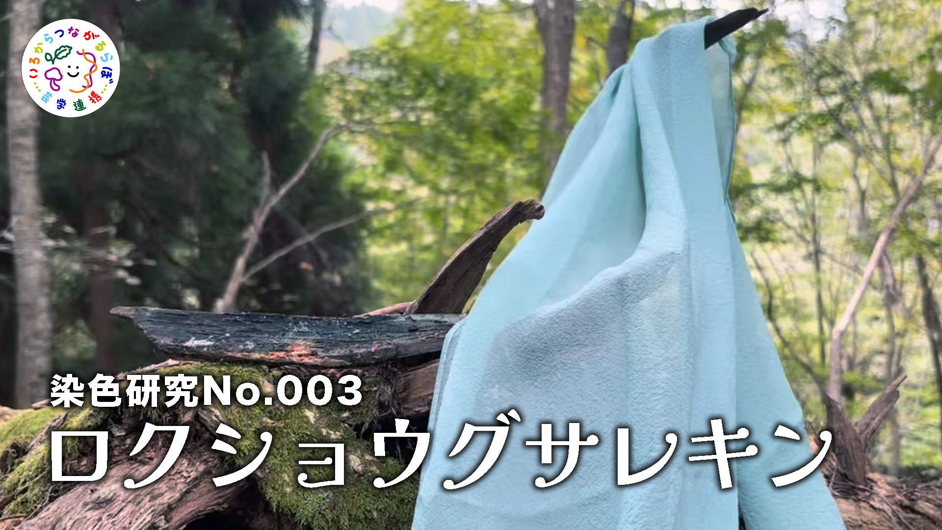 いろらぼ-003-ロクショウグサレンキン